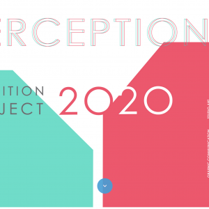 Perception 2020